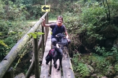 Dog Trekking Ponte di Veja