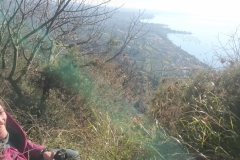 Dog Trekking Garda