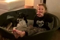 Educare i bambini alla convivenza con i cani