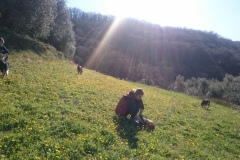 Dog Trekking (Montorio)